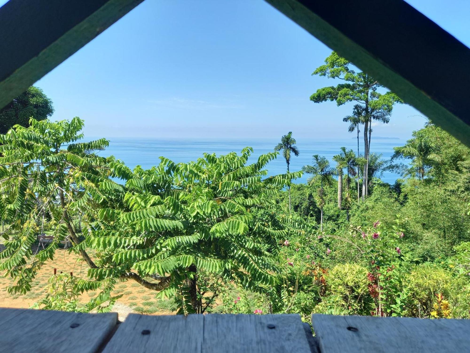 Bella Vista Corcovado Hotel Drake Bay ภายนอก รูปภาพ