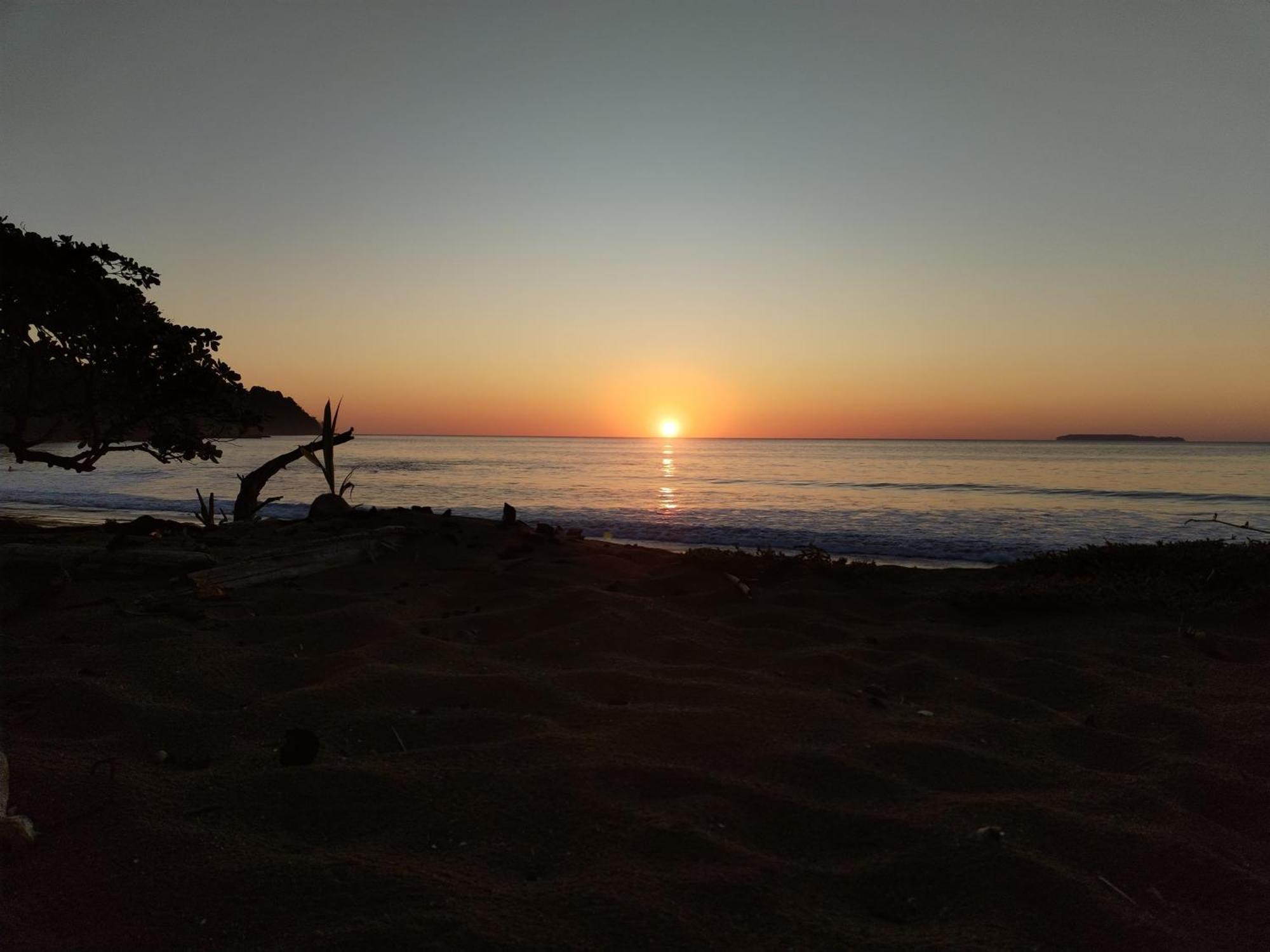 Bella Vista Corcovado Hotel Drake Bay ภายนอก รูปภาพ