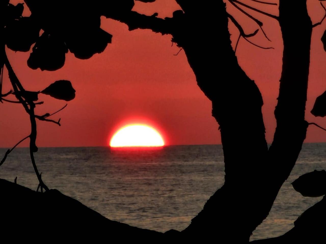 Bella Vista Corcovado Hotel Drake Bay ภายนอก รูปภาพ