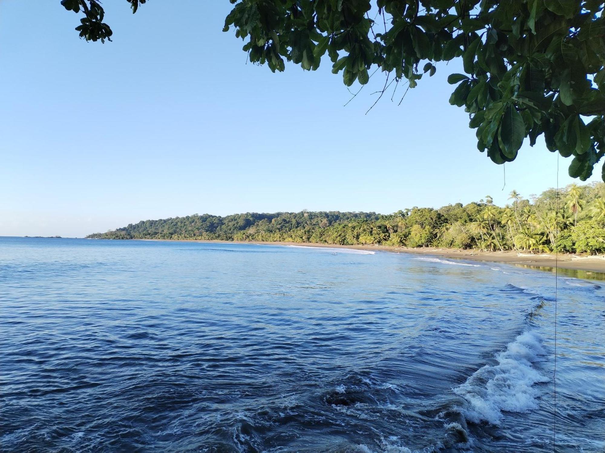 Bella Vista Corcovado Hotel Drake Bay ภายนอก รูปภาพ