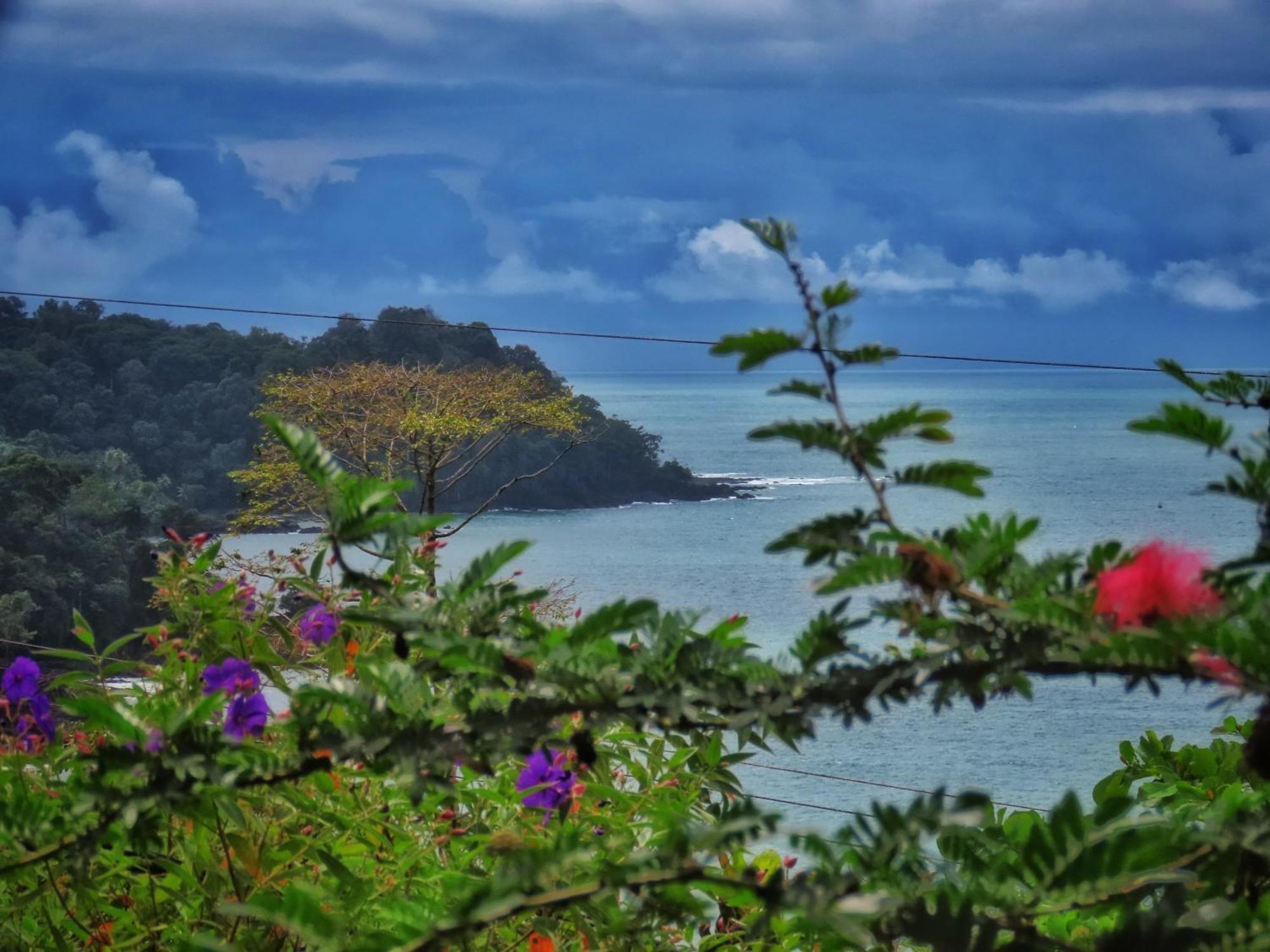 Bella Vista Corcovado Hotel Drake Bay ภายนอก รูปภาพ