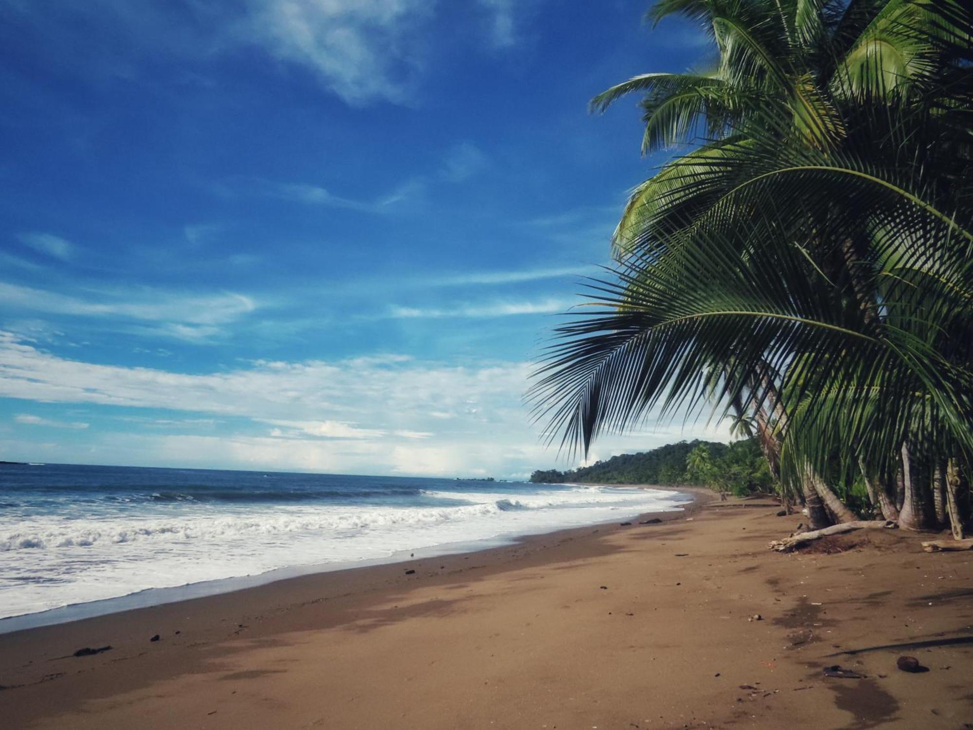 Bella Vista Corcovado Hotel Drake Bay ภายนอก รูปภาพ