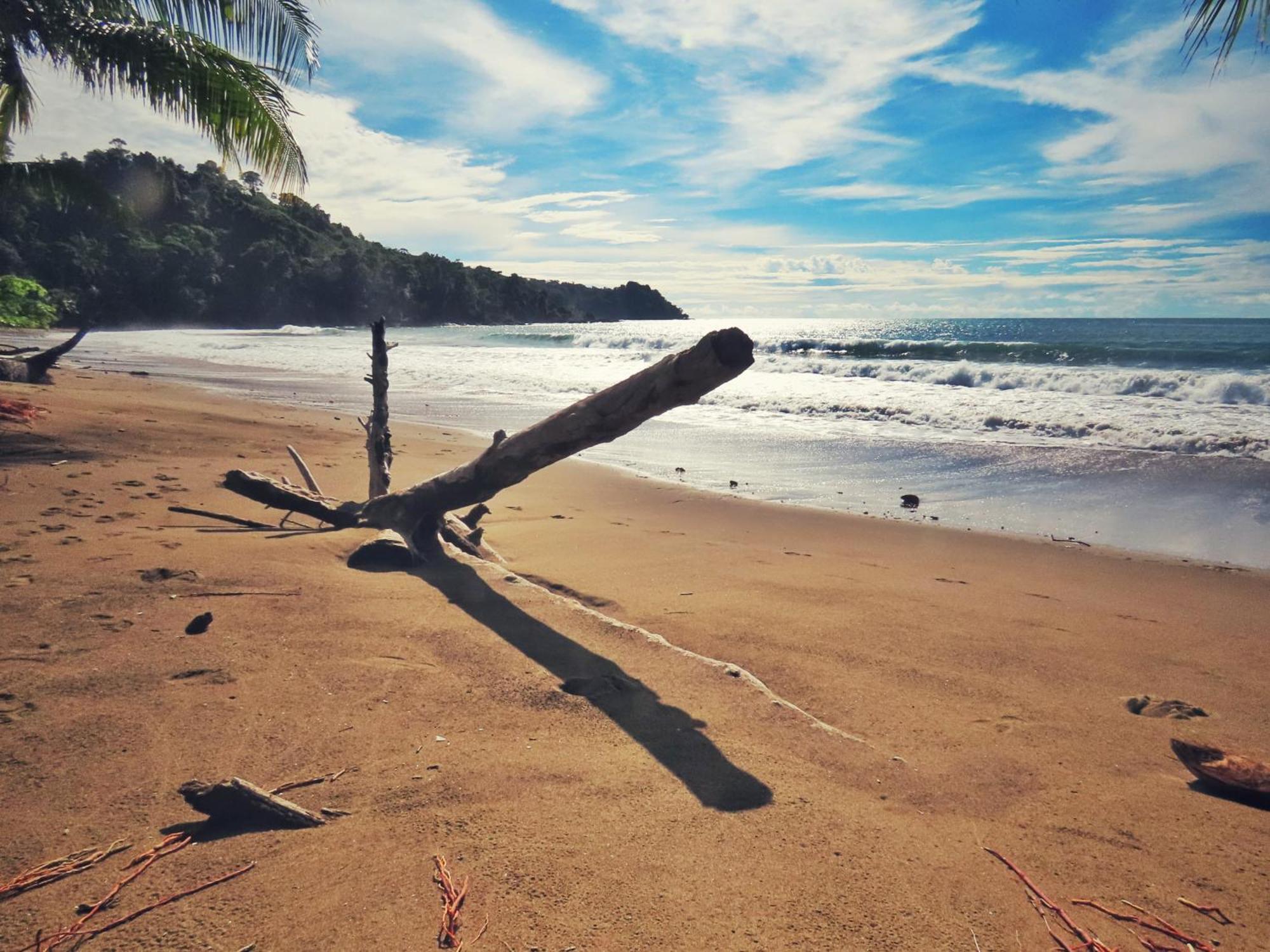 Bella Vista Corcovado Hotel Drake Bay ภายนอก รูปภาพ