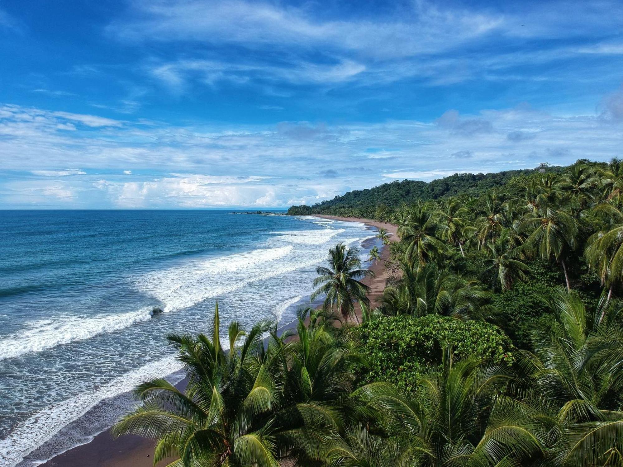 Bella Vista Corcovado Hotel Drake Bay ภายนอก รูปภาพ