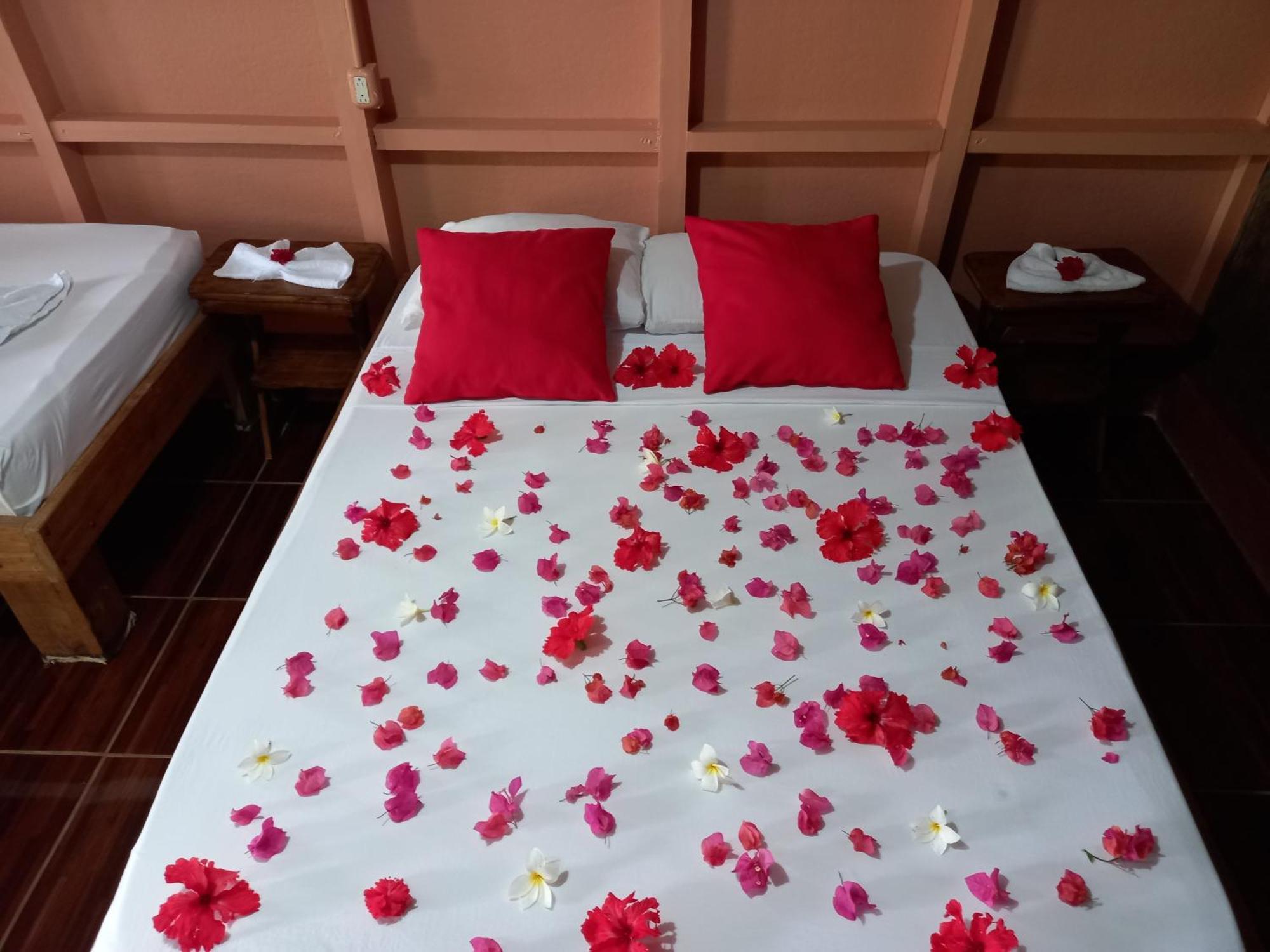 Bella Vista Corcovado Hotel Drake Bay ภายนอก รูปภาพ