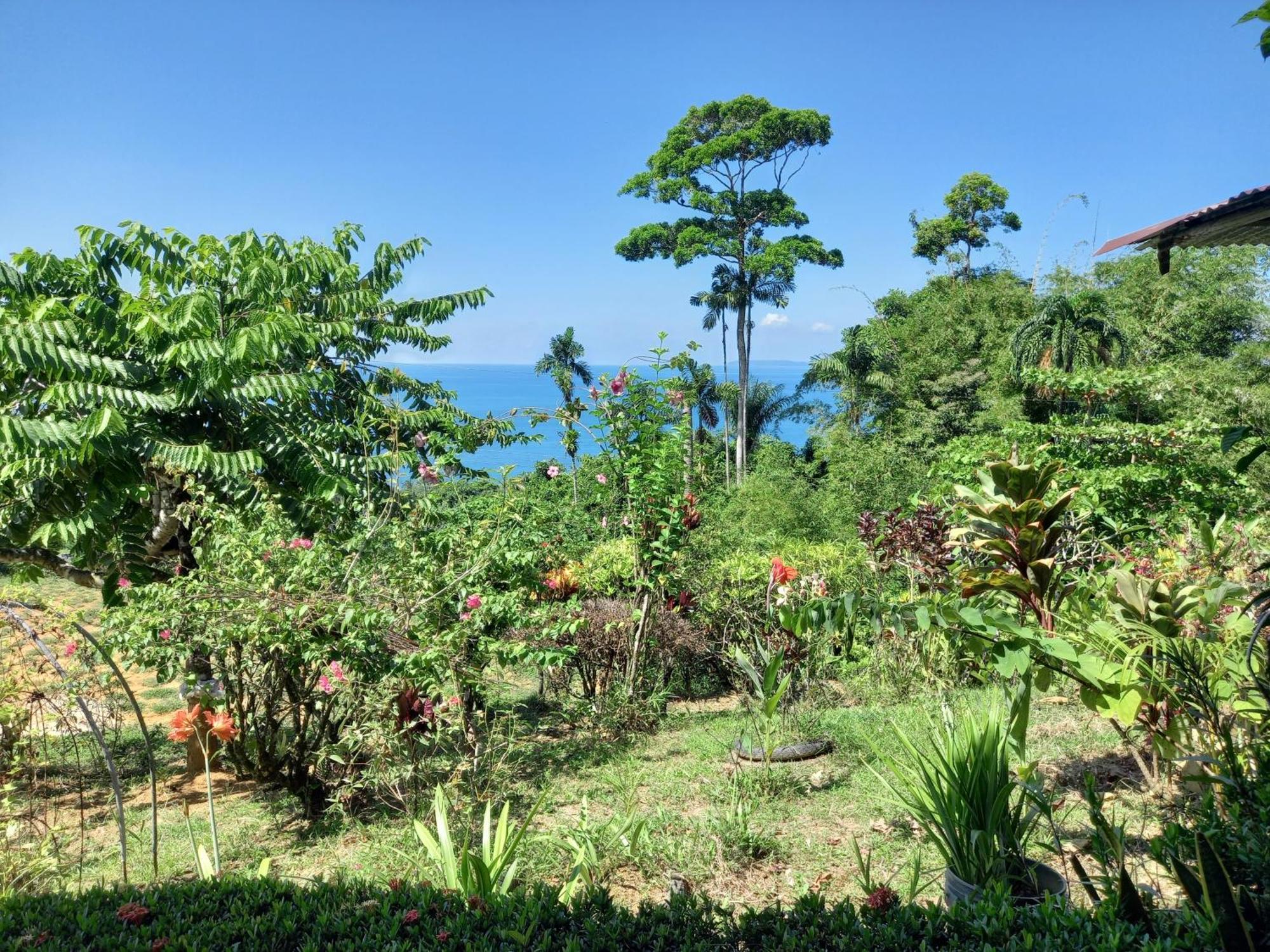 Bella Vista Corcovado Hotel Drake Bay ห้อง รูปภาพ