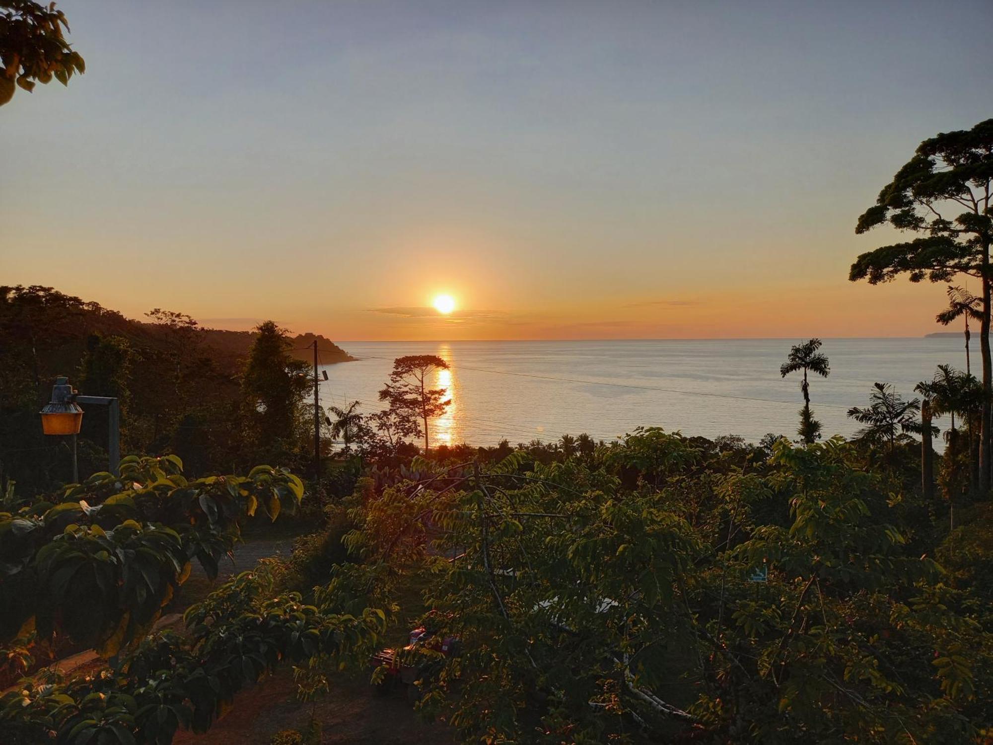 Bella Vista Corcovado Hotel Drake Bay ภายนอก รูปภาพ